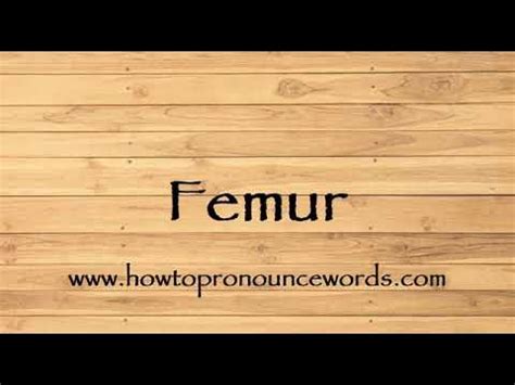 how to say femoral|How to Pronounce femoral .